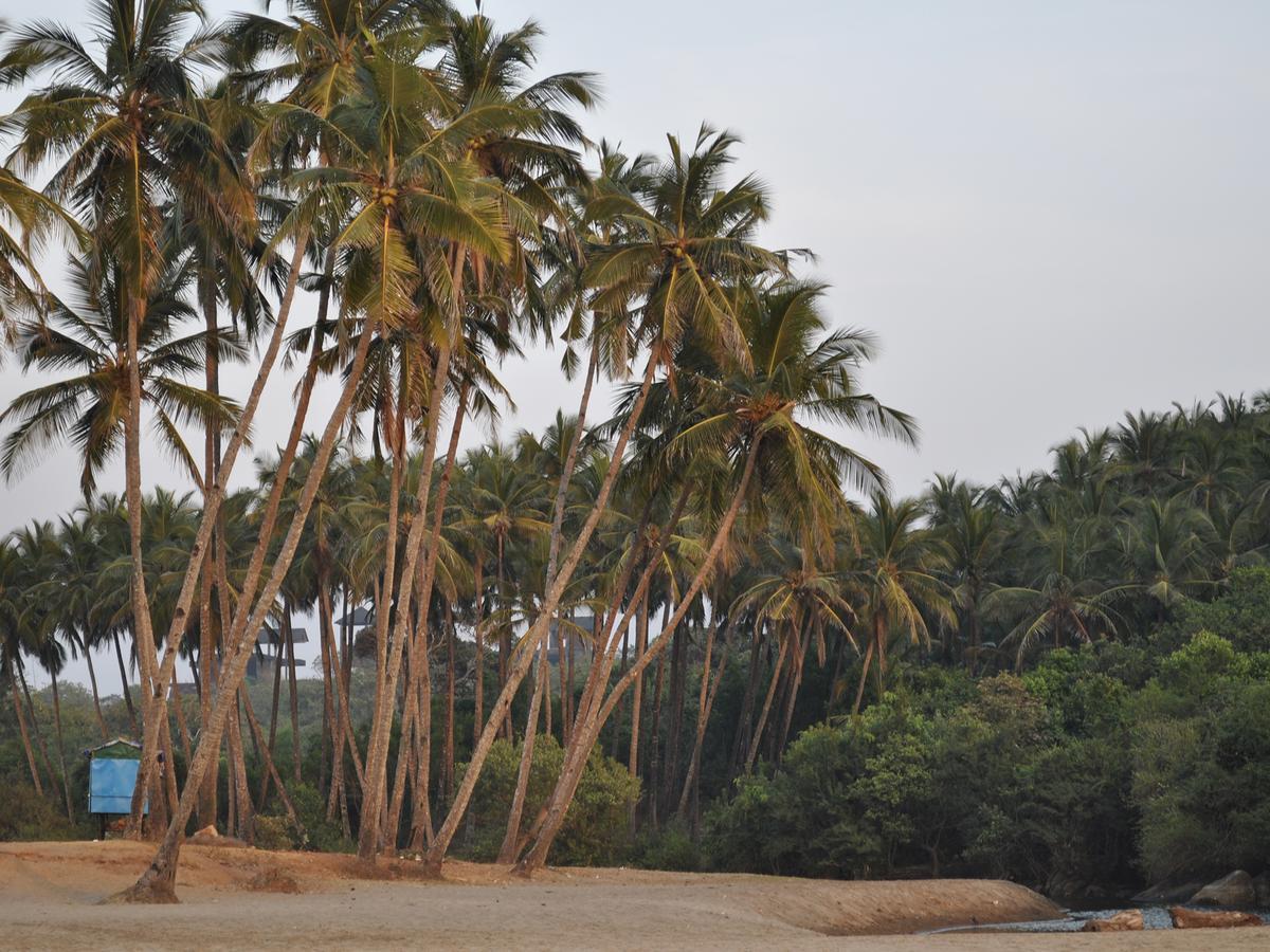 Tutti Garden Bungalows Hotel Mormugao ภายนอก รูปภาพ