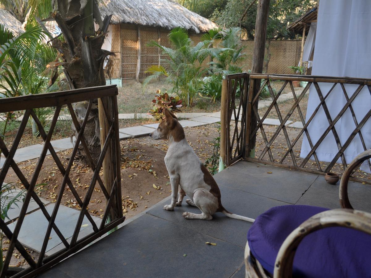 Tutti Garden Bungalows Hotel Mormugao ภายนอก รูปภาพ